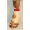 Ankle Straps Red  (10/PKG) - Image 2