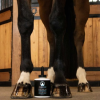 ARGENTHOOF Premium Hoof Dressing - 473ml
